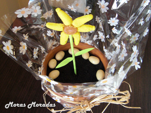 planta comestible
